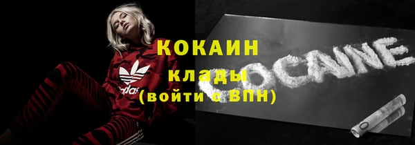 индика Алексеевка