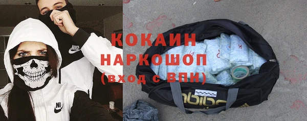 индика Алексеевка