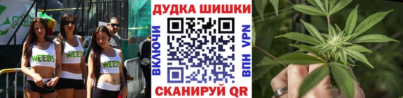 Марихуана план  Нижнеудинск 
